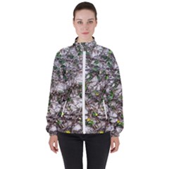 Climbing Plant At Outdoor Wall Women s High Neck Windbreaker by dflcprintsclothing