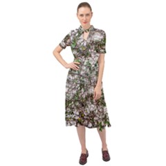 Climbing Plant At Outdoor Wall Keyhole Neckline Chiffon Dress by dflcprintsclothing