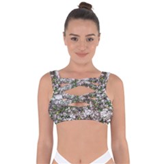 Climbing Plant At Outdoor Wall Bandaged Up Bikini Top by dflcprintsclothing