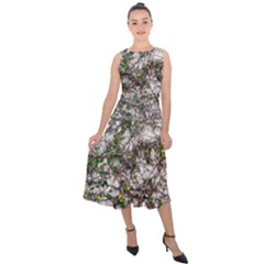 Climbing Plant At Outdoor Wall Midi Tie-back Chiffon Dress by dflcprintsclothing