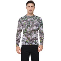 Climbing Plant At Outdoor Wall Men s Long Sleeve Rash Guard by dflcprintsclothing