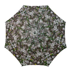 Climbing Plant At Outdoor Wall Golf Umbrellas by dflcprintsclothing