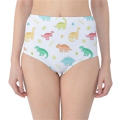 Animals Dinosaurs T-rex Pattern Classic High-Waist Bikini Bottoms