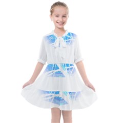 Bird T- Shirt Bird T- Shirt Kids  All Frills Chiffon Dress