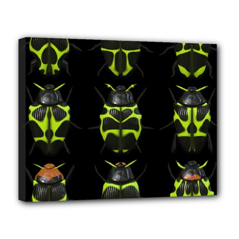 Beetles-insects-bugs- Canvas 14  x 11  (Stretched)