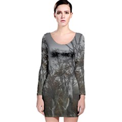 Nature s Resilience: Tierra Del Fuego Forest, Argentina Long Sleeve Velvet Bodycon Dress by dflcprintsclothing