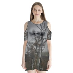 Nature s Resilience: Tierra Del Fuego Forest, Argentina Shoulder Cutout Velvet One Piece by dflcprintsclothing