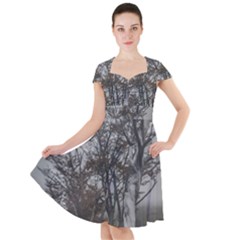 Nature s Resilience: Tierra Del Fuego Forest, Argentina Cap Sleeve Midi Dress by dflcprintsclothing