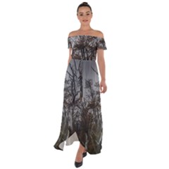 Nature s Resilience: Tierra Del Fuego Forest, Argentina Off Shoulder Open Front Chiffon Dress by dflcprintsclothing