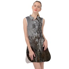 Nature s Resilience: Tierra Del Fuego Forest, Argentina Sleeveless Shirt Dress by dflcprintsclothing