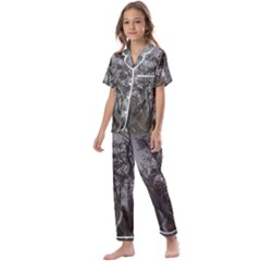 Nature s Resilience: Tierra Del Fuego Forest, Argentina Kids  Satin Short Sleeve Pajamas Set by dflcprintsclothing