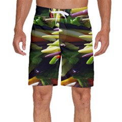 Bright Peppers Men s Beach Shorts