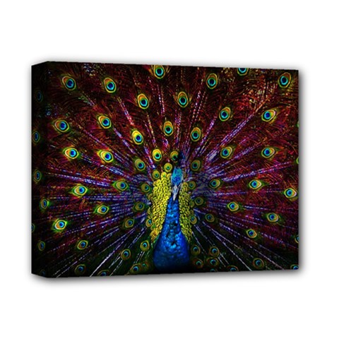 Beautiful Peacock Feather Deluxe Canvas 14  X 11  (stretched) by Ket1n9