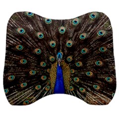 Peacock Velour Head Support Cushion by Ket1n9