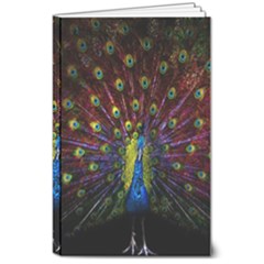 Beautiful Peacock Feather 8  X 10  Softcover Notebook by Ket1n9