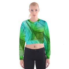 Sunlight Filtering Through Transparent Leaves Green Blue Cropped Sweatshirt by Ket1n9