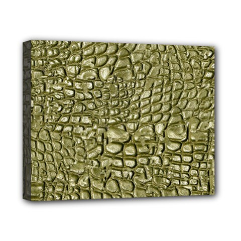 Aligator-skin Canvas 10  X 8  (stretched) by Ket1n9