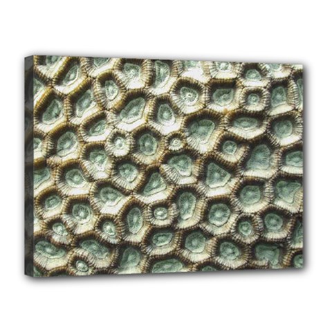 Ocean Pattern Canvas 16  X 12  (stretched) by Ket1n9