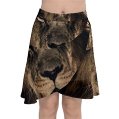 African-lion-mane-close-eyes Chiffon Wrap Front Skirt by Ket1n9