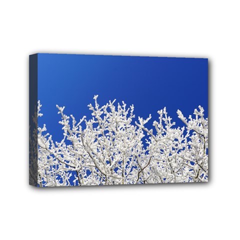 Crown-aesthetic-branches-hoarfrost- Mini Canvas 7  X 5  (stretched) by Ket1n9