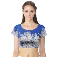 Crown-aesthetic-branches-hoarfrost- Short Sleeve Crop Top by Ket1n9