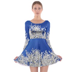 Crown-aesthetic-branches-hoarfrost- Long Sleeve Skater Dress by Ket1n9