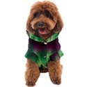 Aurora-borealis-northern-lights Dog Coat View1