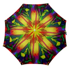 Abstract-vibrant-colour-botany Straight Umbrellas