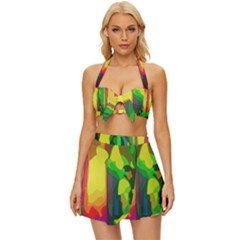 Abstract-vibrant-colour-botany Vintage Style Bikini Top And Skirt Set  by Ket1n9