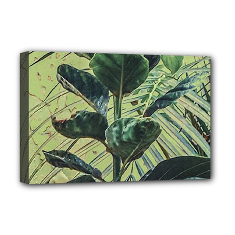 Botanical Tropical Motif Photo Art Deluxe Canvas 18  X 12  (stretched) by dflcprintsclothing