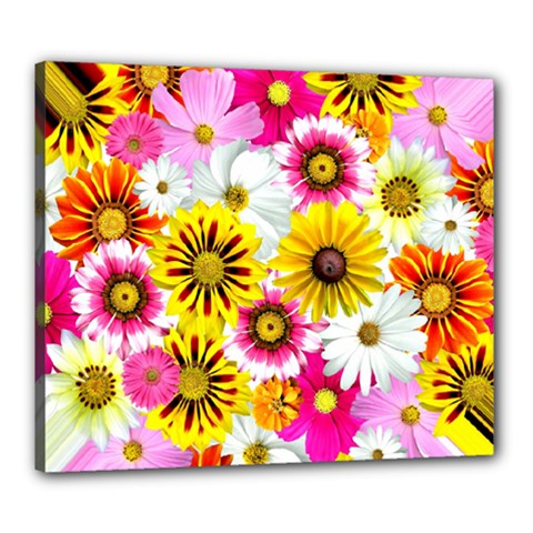 Flowers Blossom Bloom Nature Plant Canvas 24  X 20  (stretched) by Amaryn4rt