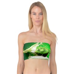 Kiwi Fruit Vitamins Healthy Cut Bandeau Top by Amaryn4rt