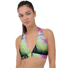 Forests Stunning Glimmer Paintings Sunlight Blooms Plants Love Seasons Traditional Art Flowers Sunsh Halter Plunge Bikini Top by Amaryn4rt