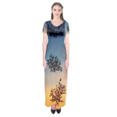 Hardest-frost-winter-cold-frozen Short Sleeve Maxi Dress