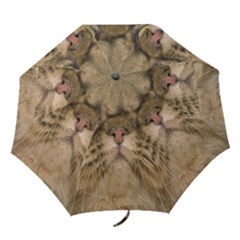 Cute Persian Catface In Closeup Folding Umbrellas by Amaryn4rt