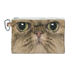 Cute Persian Catface In Closeup Canvas Cosmetic Bag (large) by Amaryn4rt