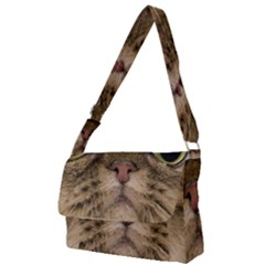Cute Persian Catface In Closeup Full Print Messenger Bag (s) by Amaryn4rt
