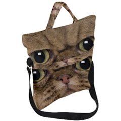 Cute Persian Catface In Closeup Fold Over Handle Tote Bag