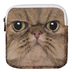 Cute Persian Catface In Closeup Mini Square Pouch by Amaryn4rt