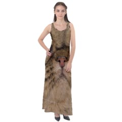 Cute Persian Catface In Closeup Sleeveless Velour Maxi Dress by Amaryn4rt