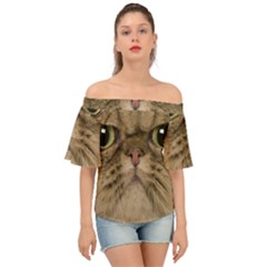 Cute Persian Catface In Closeup Off Shoulder Short Sleeve Top by Amaryn4rt