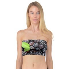 Blackberries-background-black-dark Bandeau Top by Amaryn4rt