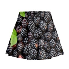 Blackberries-background-black-dark Mini Flare Skirt