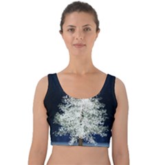 Tree Pine White Starlight Night Winter Christmas Velvet Crop Top