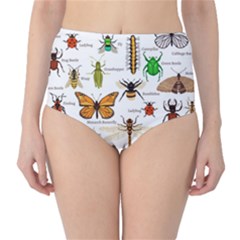 Insects-seamless-pattern Classic High-waist Bikini Bottoms by Amaryn4rt