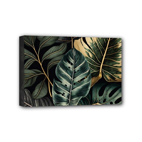 Tropical Leaves Foliage Monstera Nature Home Mini Canvas 6  X 4  (stretched) by Pakjumat