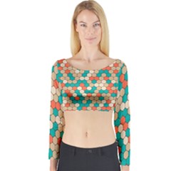 Multicolored Honeycomb Colorful Abstract Geometry Long Sleeve Crop Top by Pakjumat