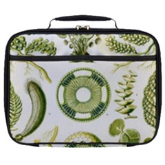 Algae Green Algae Chlorophyceae Full Print Lunch Bag by Pakjumat