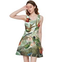 Humming Birds Trochilidae Inside Out Racerback Dress by Pakjumat