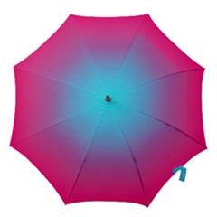 Blue Pink Purple Hook Handle Umbrellas (medium)
